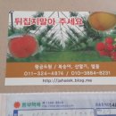 황금농원(복숭아) 이미지