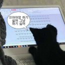도와세움평생교육센터 이미지