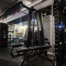 머슬바디짐 이미지