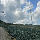 매봉산4 이미지