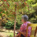 씨유 마산구산수정점 | 창원요양원 마산시니어카운티 면회시간