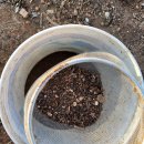 사남매농장2 이미지