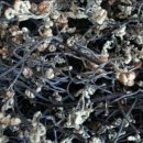 용담슈퍼 이미지