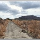 태흥목장 이미지