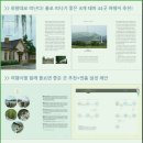 나홀로 진짜 여행 이미지