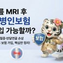 반달실비