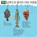 운바다 이미지