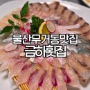 금하횟집 | 울산 무거동 룸식당 맛집 금하횟집 모듬회 가족식사 일식당