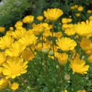 홍천중앙시장 이미지