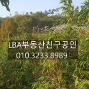 LBA부동산친구공인중개사사무소 이미지