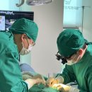 힘플란트치과의원 이미지