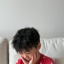 킴스애견미용실 | 울산 북구 미용실 도미닉바버샵 화봉점 남자펌 스왈로우펌
