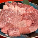 야키니쿠 센 | 오사카 난바 도톤보리 맛집,야키니쿠 덴세츠 바리바리 센리치마에 내돈내산 솔직후기