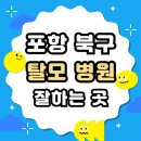 포항시북구25 | 포항 북구 탈모 전문 병원 치료 잘하는 병원 List