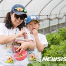 대가농원 이미지