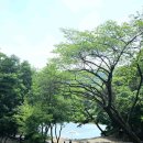 라 까시나 이태리 이미지