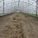 고건농장 이미지