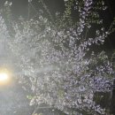 이제 오늘이 있을 것이다 이미지