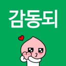 메이플캠프