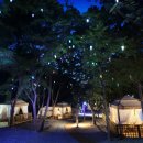 테르메덴 이미지