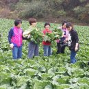 진배농장 이미지