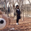 헤어쿠데타