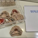 위키즈주니어치과의원 이미지