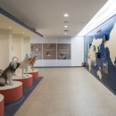 진도메디칼 이미지