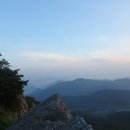 다우리목장 티스토리