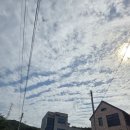 리숨가구 | 리숨가구 포천 방문기: 가구와 인테리어에 사랑에 빠진 날
