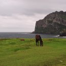 성산올레 이미지