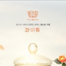 영월카피