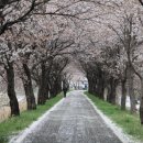 승교농장 이미지