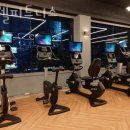 더웰피트니스 이미지