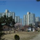 강원도립대학 버스정류장 이미지