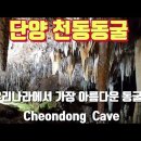단양 천동동굴/ 우리나라에서 가장 아름다운 동굴 이미지