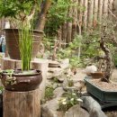 새싹마을마당 이미지