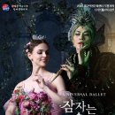 유니버설발레단 잠자는 숲속의 미녀 이미지