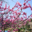 현천농장 이미지