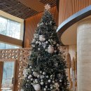 (주)정상북한산리조트(파라스파라서울) | 서울 호캉스 호텔 추천 안토 리조트 (구 파라스파라...팀버&amp;팀버 주니어 5명 호캉스 자쿠지 후기