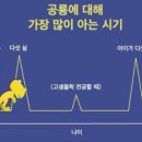 봉선농장 | [내돈내산] 서천군 조류생태전시관에 가보자!(ft. 서천 여행, 탐조, 서천 가볼만한 곳, 서천 아기랑...