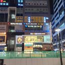 바른반려견센터 이미지