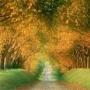 은행약수터 이미지