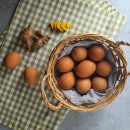 와라농장 이미지