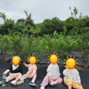 운산농원 이미지