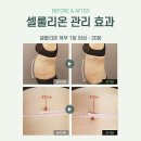 샤인스킨앤바디 - 강남구 | 샤인스킨앤바디