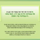 뉴플란트치과의원 이미지