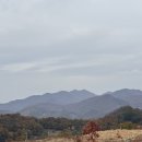 자연드림 호텔 로움 1관 | 괴산 자연드림파크 로움호텔 1관 6살 아이와 찐 후기