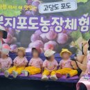 예쁜꼬마어린이집 이미지