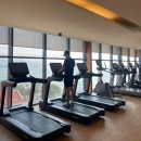 멍멍아 스파가자 | 나트랑 #3 두리안 웨안먹어? (쉐라톤수영장/마담프엉/세일링클럽/알리부리조트/모퉁이/콩카페)